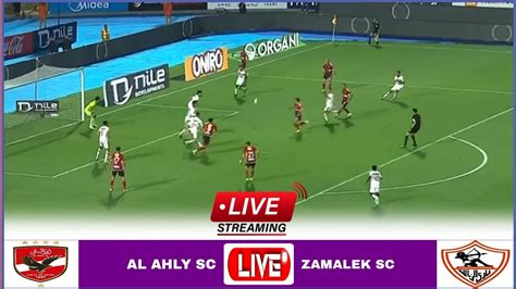 zamalektoday|zamalek live stream.